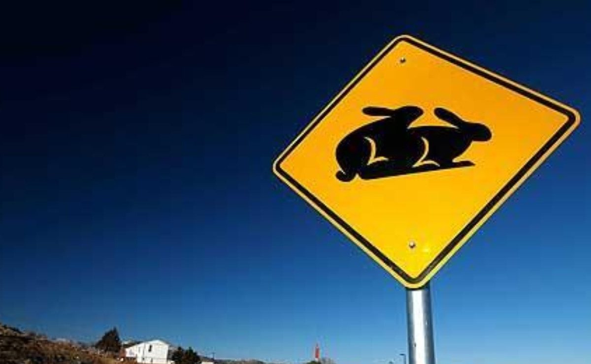 Non andare nel panico se vedi questo cartello: rallenta e fai un lungo sospiro | Qualcuno sta facendo l’amore per strada (legalmente)