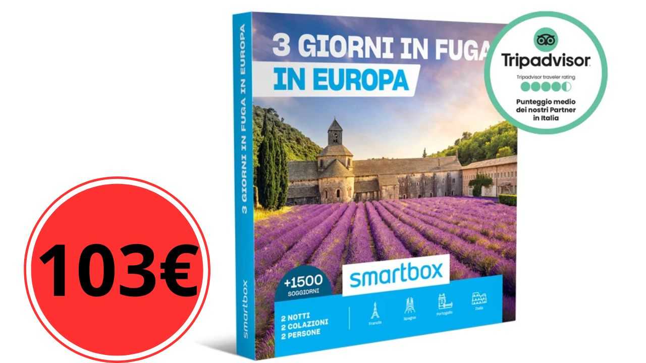 Arrivato il “Black friday dei viaggi”: 3 giorni e 2 notti a 103 euro | Lasci l’auto in garage e respiri aria pulita